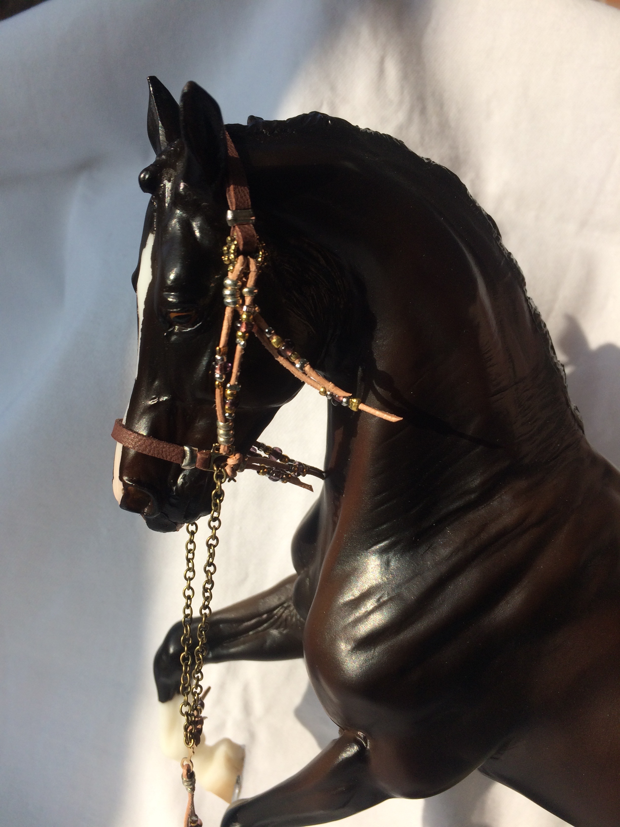 Showhalfter "Indian Style"